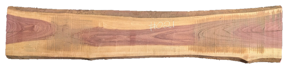 Purpleheart 5/4 Live Edge #021
