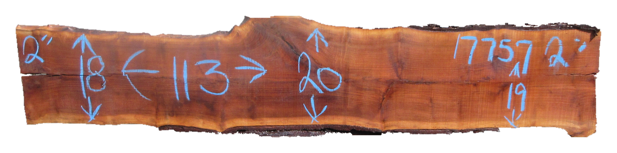 Claro Walnut Slab #17757