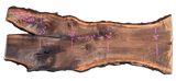 Black Walnut Live Edge #030121-02