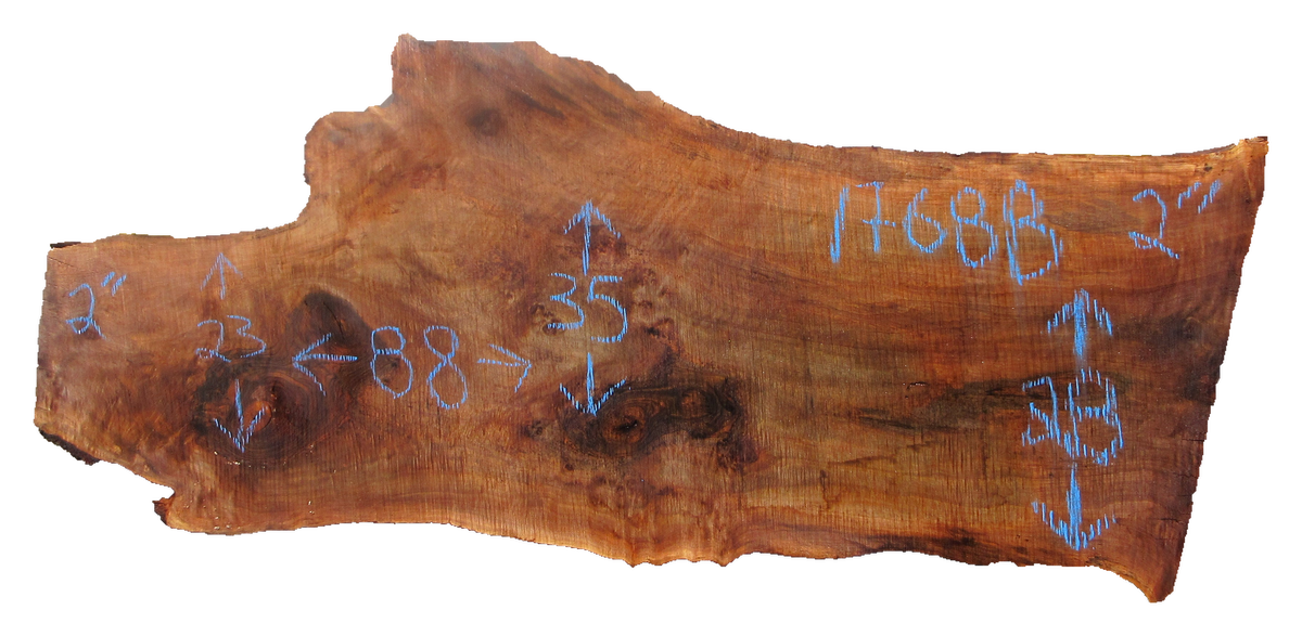 Claro Walnut Slab #17688