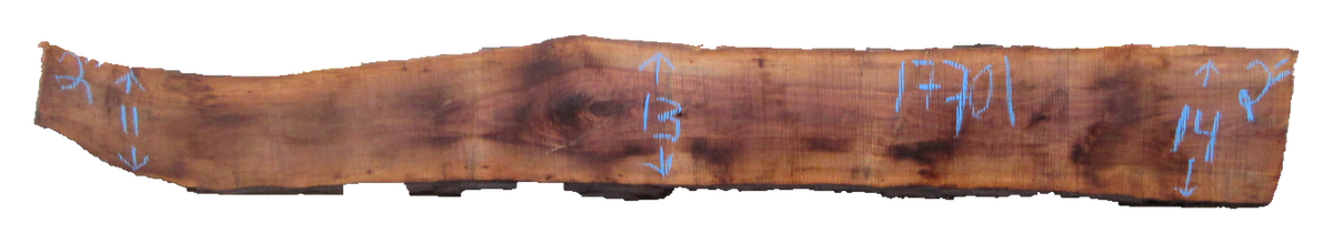 Claro Walnut Slab #17701