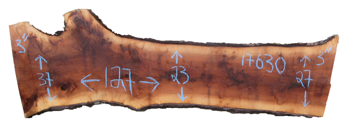 Claro Walnut Slab #17630