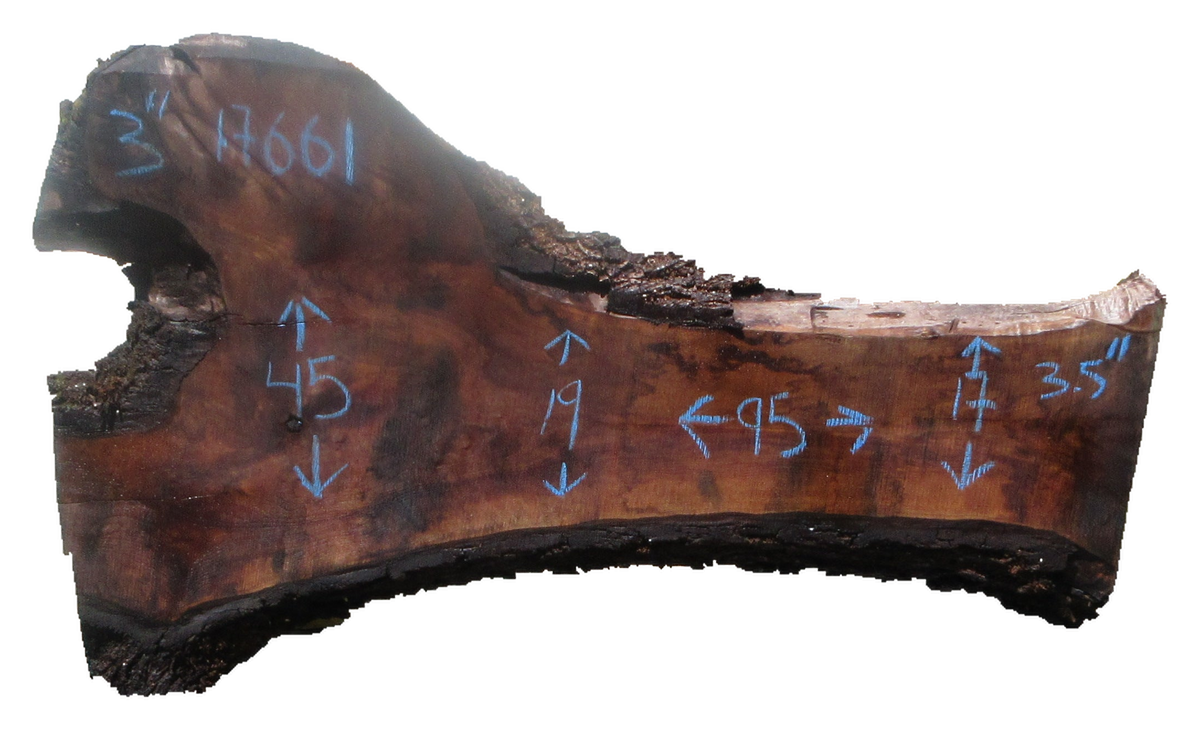 Claro Walnut Slab #17661