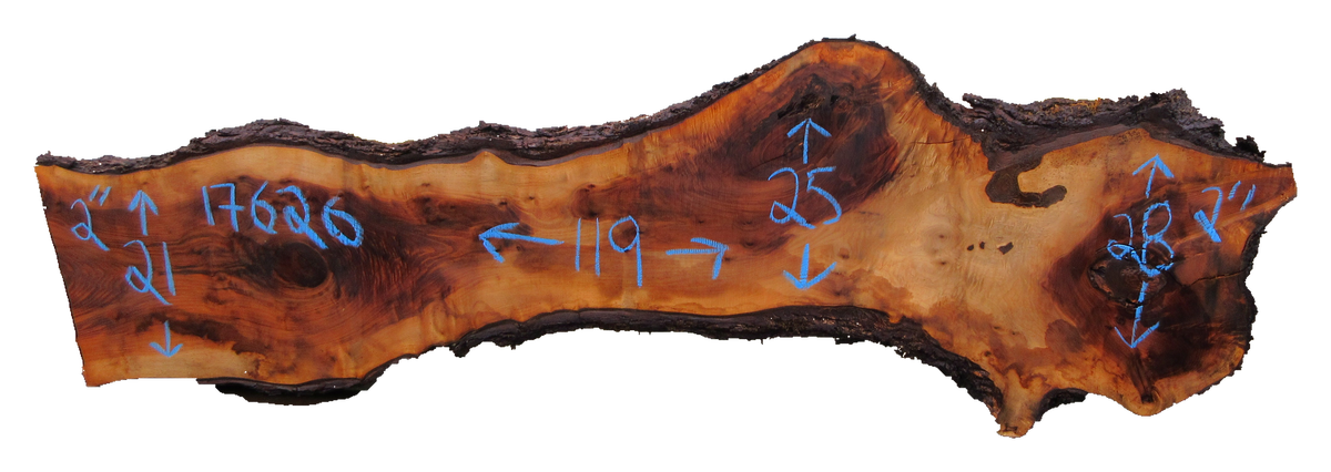 Claro Walnut Slab #17626