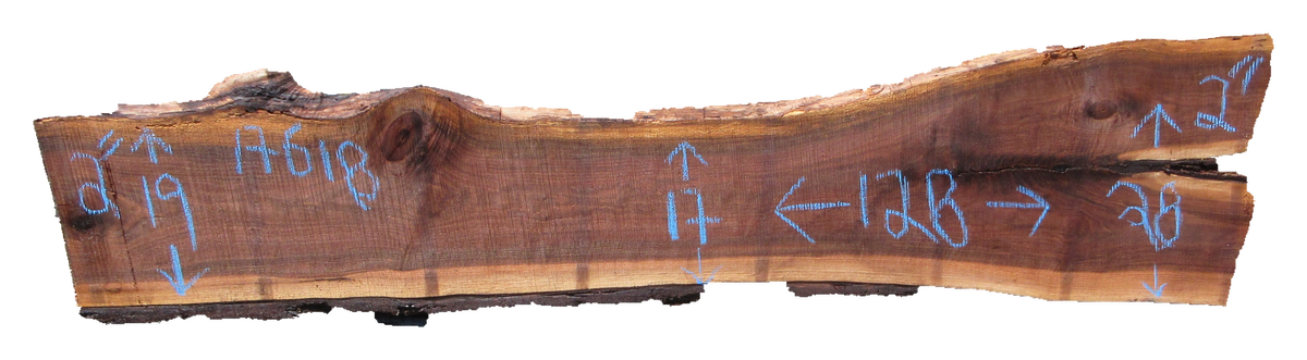 Claro Walnut Slab #17618