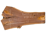 Black Walnut 10/4 Live Edge #595