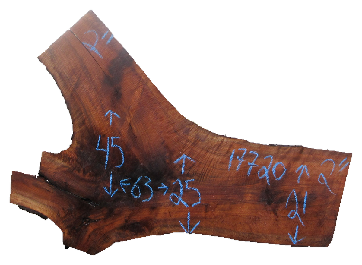 Claro Walnut Slab #17720