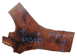 Claro Walnut Slab #17720