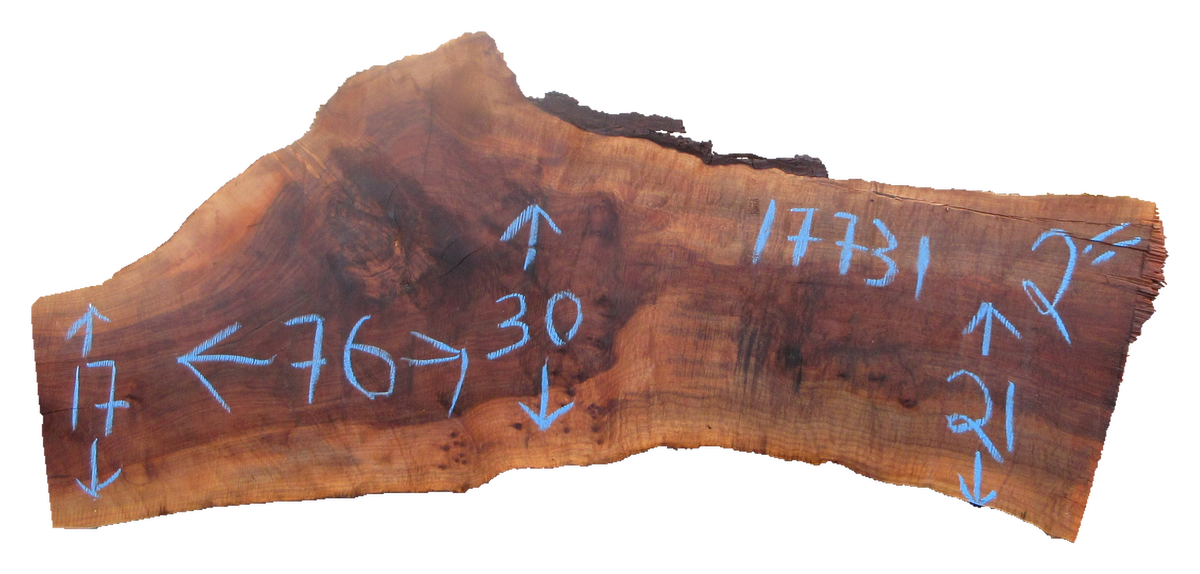 Claro Walnut Slab #17731