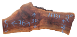 Claro Walnut Slab #17731