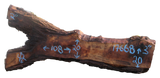 Claro Walnut Slab #17668