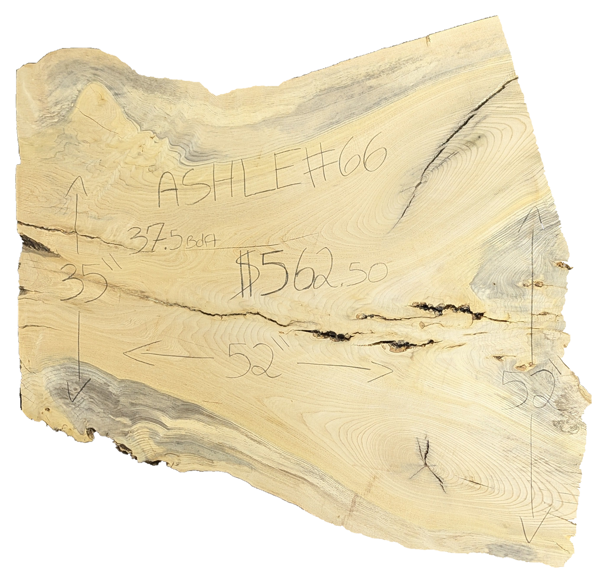 Ash Live Edge #066
