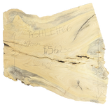 Ash Live Edge #066