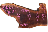 Black Walnut Live Edge #090220-01