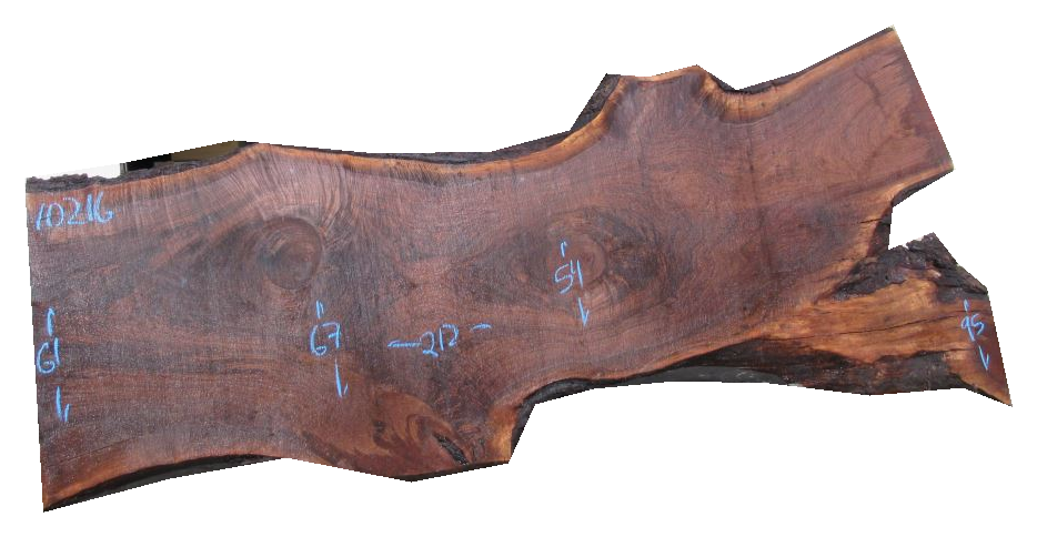 Claro Walnut Slab #10216