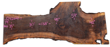 Black Walnut Live Edge #042621-01