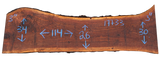 Claro Walnut Slab #17733