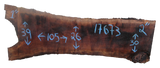 Claro Walnut Slab #17673