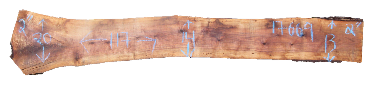Claro Walnut Slab #17699