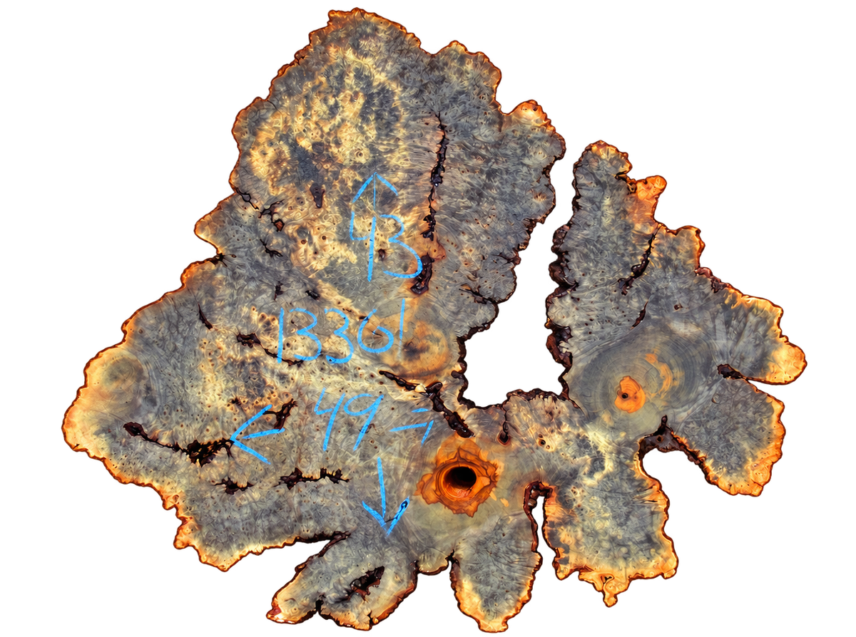 Buckeye Burl Live Edge #011