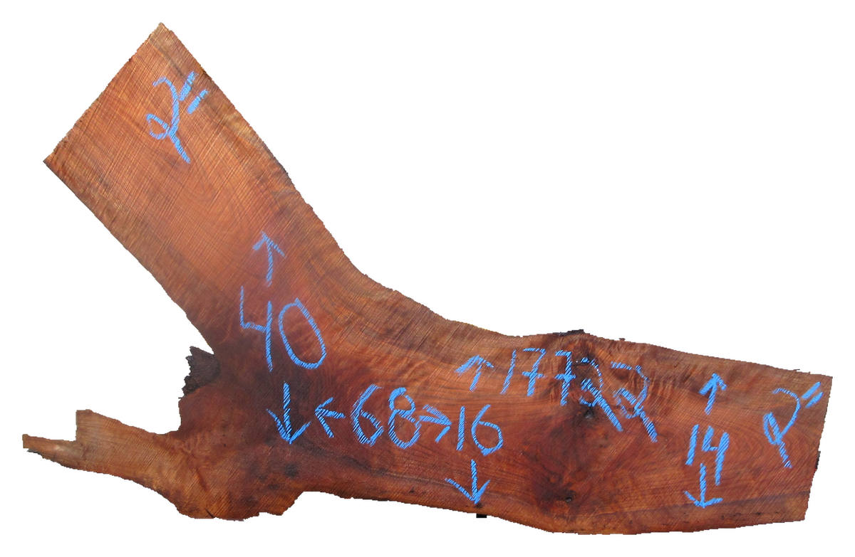 Claro Walnut Slab #17722