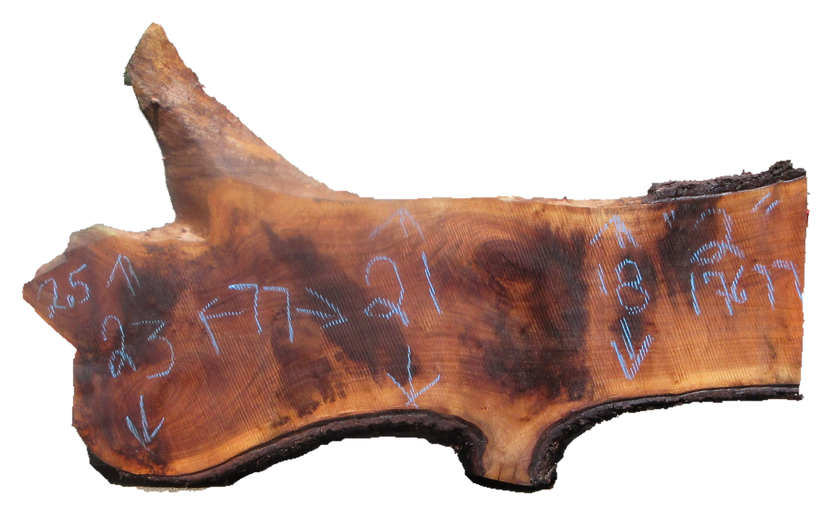 Claro Walnut Slab #17677