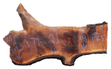 Claro Walnut Slab #17677