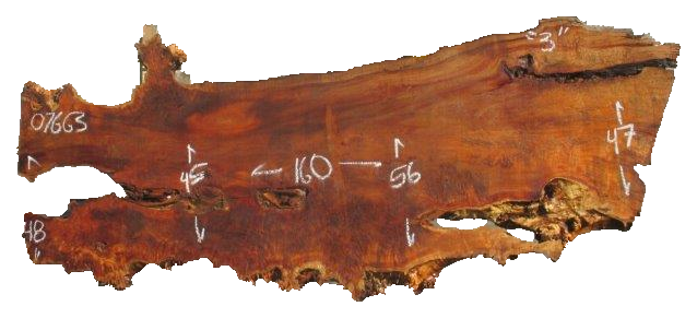 California Cottonwood Live Edge #07663