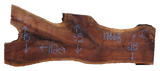 Claro Walnut Slab #17608