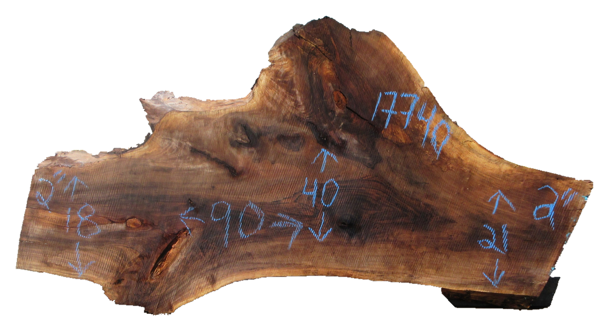 Claro Walnut Slab #17740