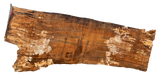 ES Maple Live Edge #001