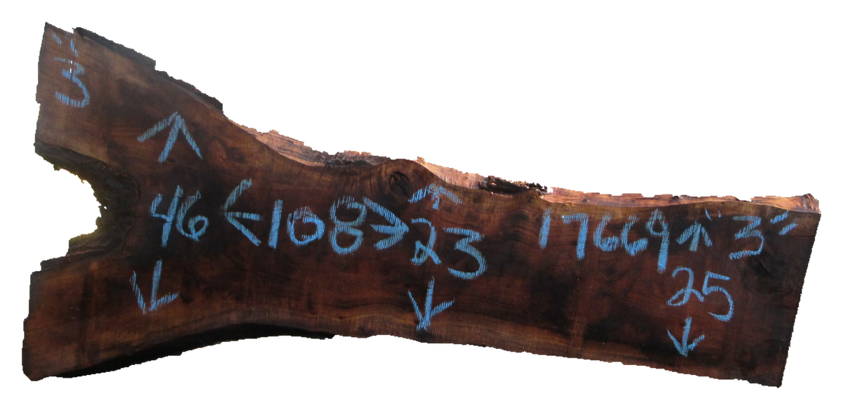 Claro Walnut Slab #17669