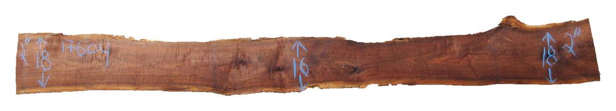 Claro Walnut Slab #17604