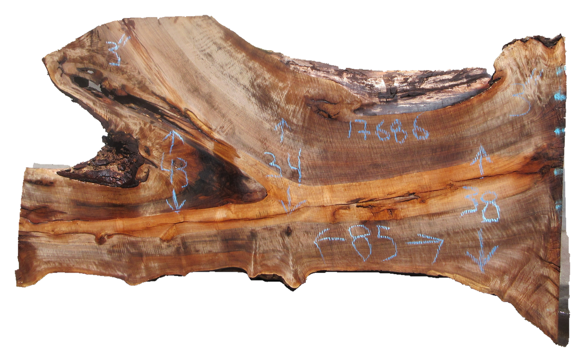 Claro Walnut Slab #17686