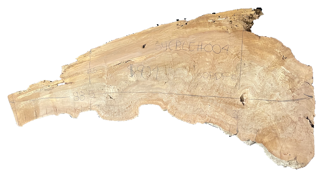 Sycamore Burl 12/4 Live Edge #004