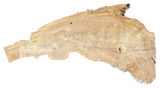 Sycamore Burl 12/4 Live Edge #004