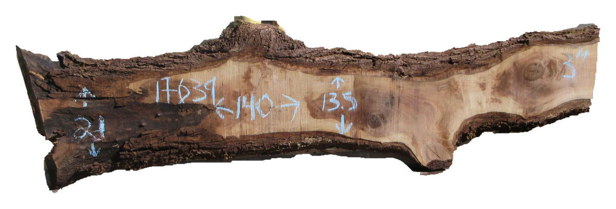Claro Walnut Slab #17639