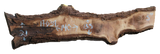 Claro Walnut Slab #17639