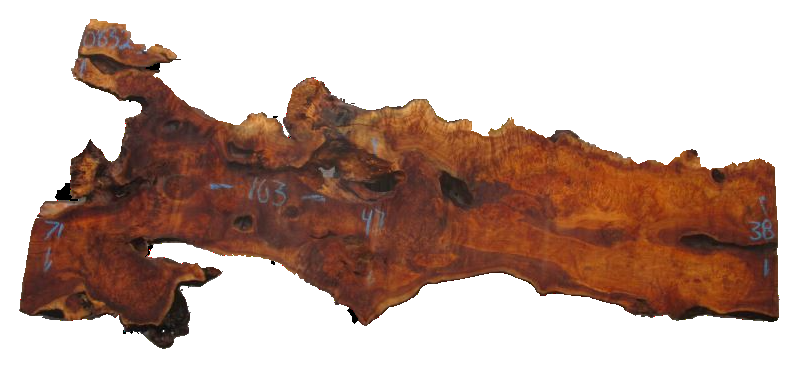 California Cottonwood Slab #08325