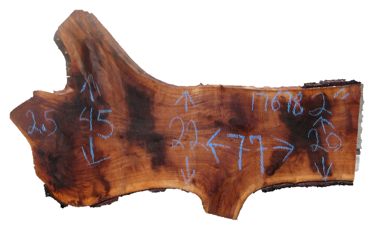 Claro Walnut Slab #17678