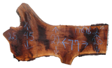 Claro Walnut Slab #17678