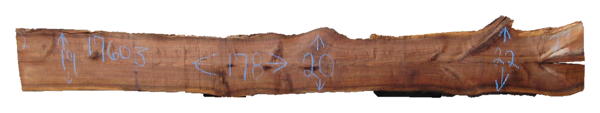 Claro Walnut Slab #17603