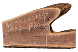 Black Walnut 10/4 Live Edge #537