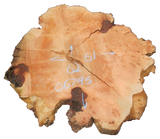 Fir Burl Live Edge #06795