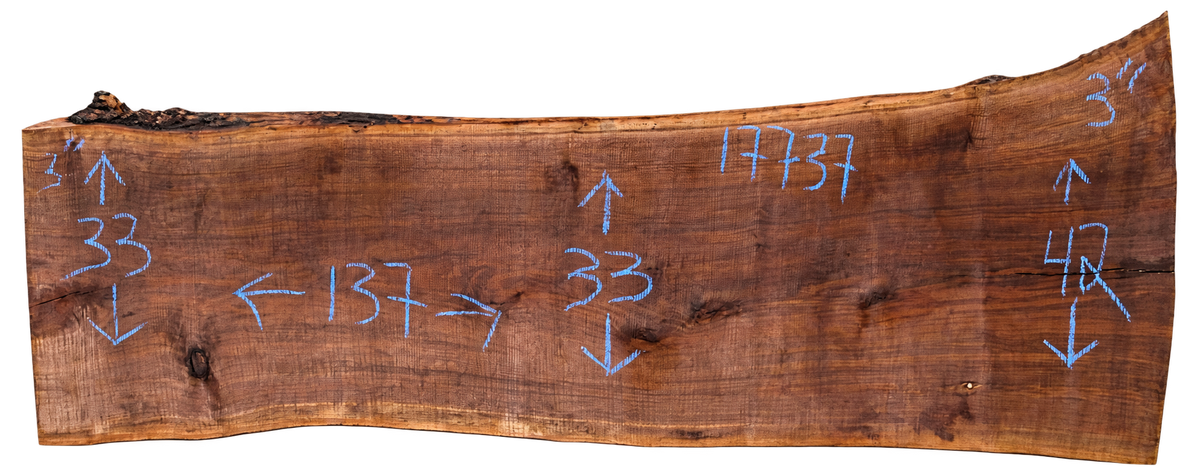 Claro Walnut Slab #17737