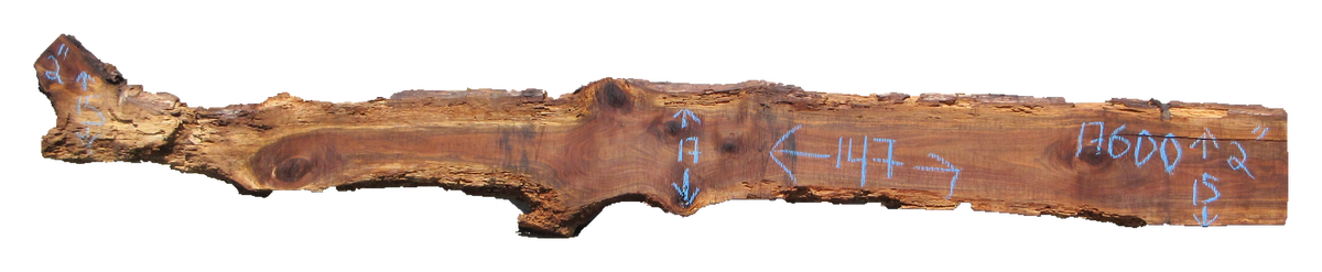 Claro Walnut Slab #17600