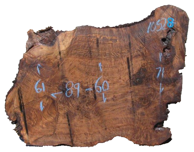 Claro Walnut Live Edge #10528