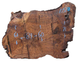 Claro Walnut Live Edge #10528