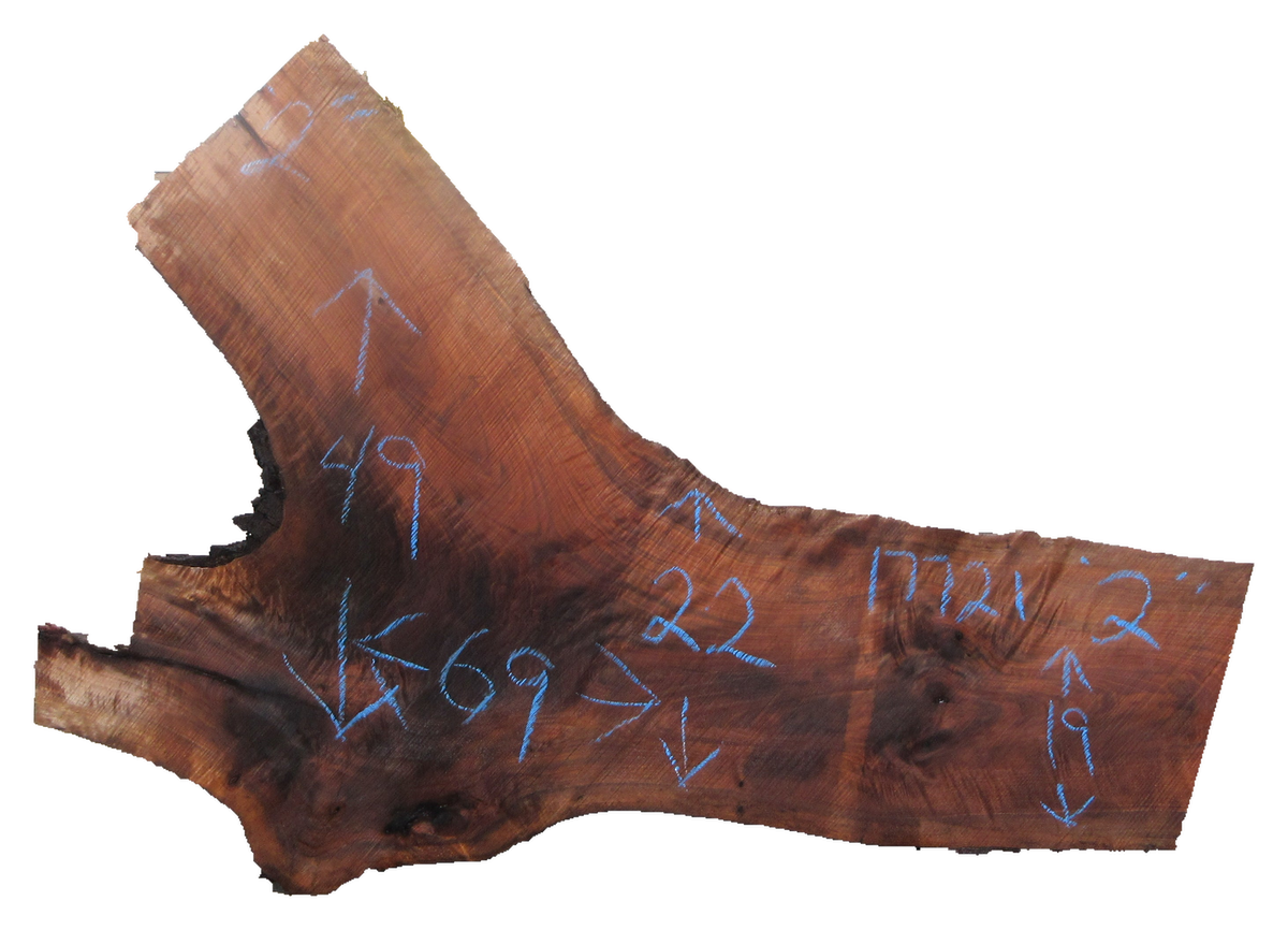 Claro Walnut Slab #17721