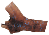 Claro Walnut Slab #17721